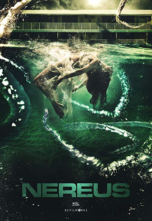 دانلود فیلم Drowning Echo 2018