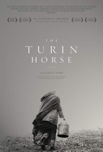 دانلود فیلم The Turin Horse 201110493-1268152086