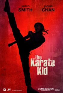 دانلود فیلم The Karate Kid 201019215-1356170057