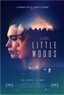 دانلود فیلم Little Woods 201822292-139290703