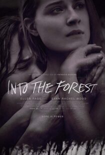 دانلود فیلم Into the Forest 20159776-1479970973