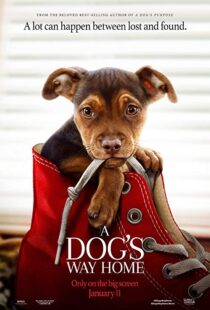 دانلود فیلم A Dog’s Way Home 20198110-616832000