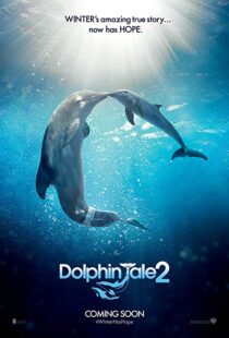 دانلود فیلم Dolphin Tale 2 201421312-1407767678