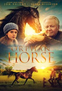 دانلود فیلم Orphan Horse 20188125-343806900