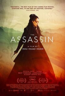 دانلود فیلم The Assassin 201513760-1886857100