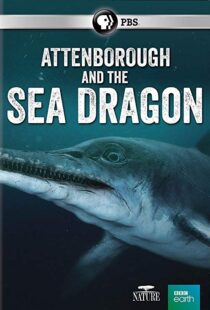 دانلود مستند Attenborough and the Sea Dragon 20188753-1663427799