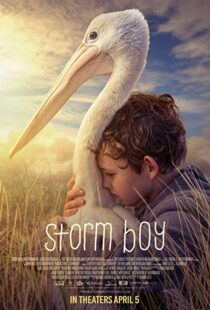 دانلود فیلم Storm Boy 20199003-459032524