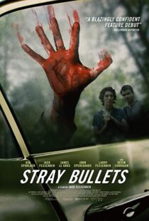 دانلود فیلم Stray Bullets 20169530-1342478947