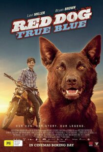 دانلود فیلم Red Dog: True Blue 20168899-949271015