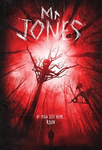 دانلود فیلم Mr. Jones 201337611-1330695570