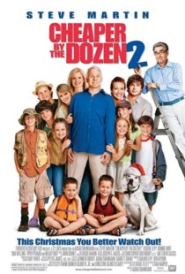 دانلود فیلم Cheaper by the Dozen 2 200534536-1643333887