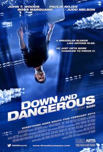 دانلود فیلم Down and Dangerous 201340211-2015720782