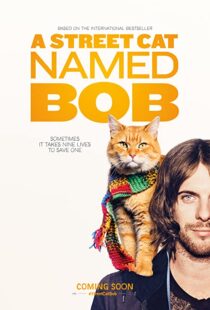 دانلود فیلم A Street Cat Named Bob 201641621-1895354117