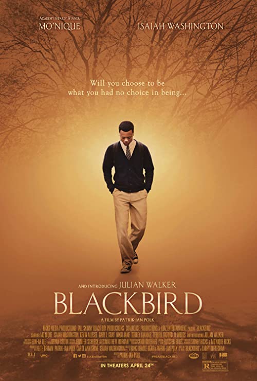 دانلود فیلم Blackbird 2014