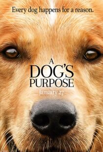 دانلود فیلم هندی A Dog’s Purpose 201741616-748660931