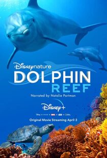 دانلود مستند Dolphin Reef 201838724-157200240