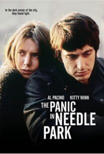 دانلود فیلم The Panic in Needle Park 197150558-1173716657