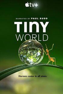 دانلود مستند Tiny World52124-479873176