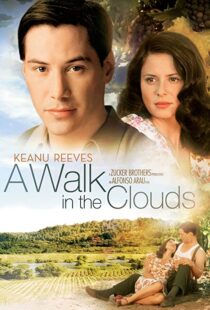 دانلود فیلم A Walk in the Clouds 199553815-1991532083