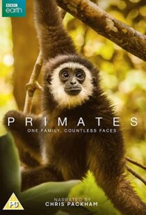 دانلود مستند Primates77865-182435517