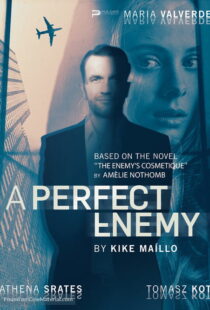 دانلود فیلم A Perfect Enemy 202082295-618336501