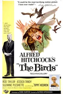 دانلود فیلم The Birds 196382372-1702211451