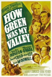 دانلود فیلم How Green Was My Valley 194181855-2072484267