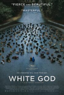 دانلود فیلم White God 201482109-295377774