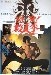 دانلود فیلم The Street Fighter 197483791-1749328320