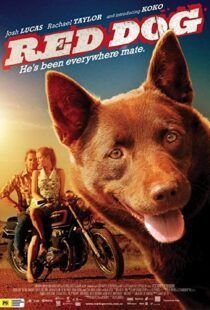 دانلود فیلم Red Dog 201187414-362580834