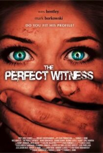 دانلود فیلم The Perfect Witness 200796937-1490299740