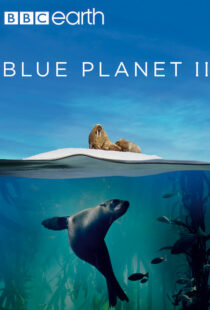 دانلود مستند Blue Planet II100194-1769200304