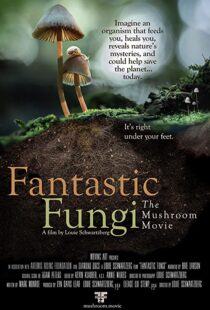 دانلود مستند Fantastic Fungi 2019100518-623850474