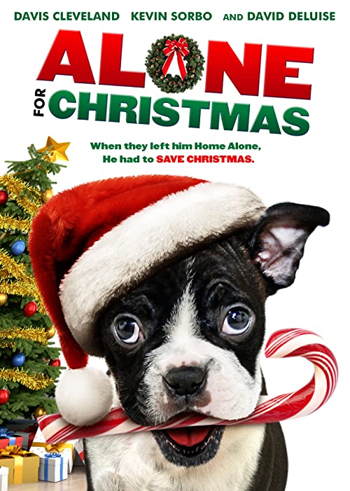 دانلود فیلم Alone for Christmas 2013