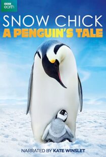 دانلود مستند Snow Chick: A Penguin’s Tale 2015109604-10941116