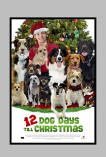 دانلود فیلم 12 Dog Days Till Christmas 2014100712-1171611855