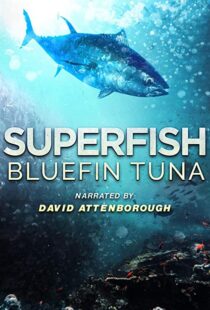 دانلود مستند Superfish Bluefin Tuna 2012101607-445478312