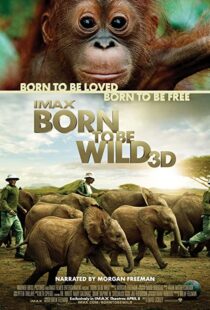 دانلود مستند Born to Be Wild 2011110503-905279472