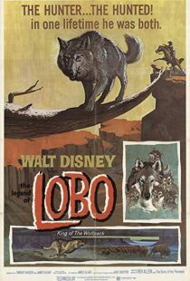 دانلود فیلم The Legend of Lobo 1962111441-2040381598