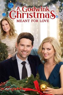 دانلود فیلم A Godwink Christmas: Meant for Love 201931842-892686841