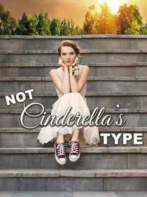 دانلود فیلم Not Cinderella’s Type 2018254350-793607201