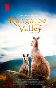 دانلود فیلم Kangaroo Valley 2022322977-192801800