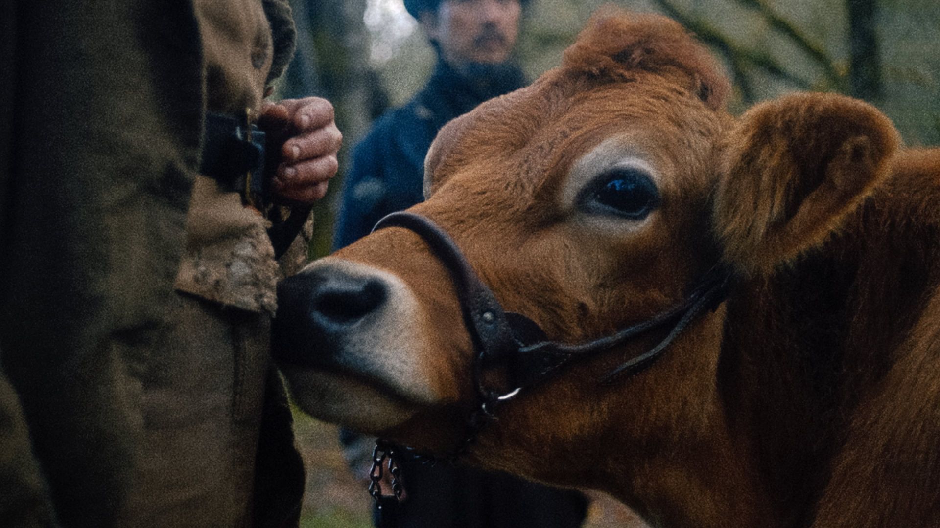 دانلود فیلم First Cow 2019