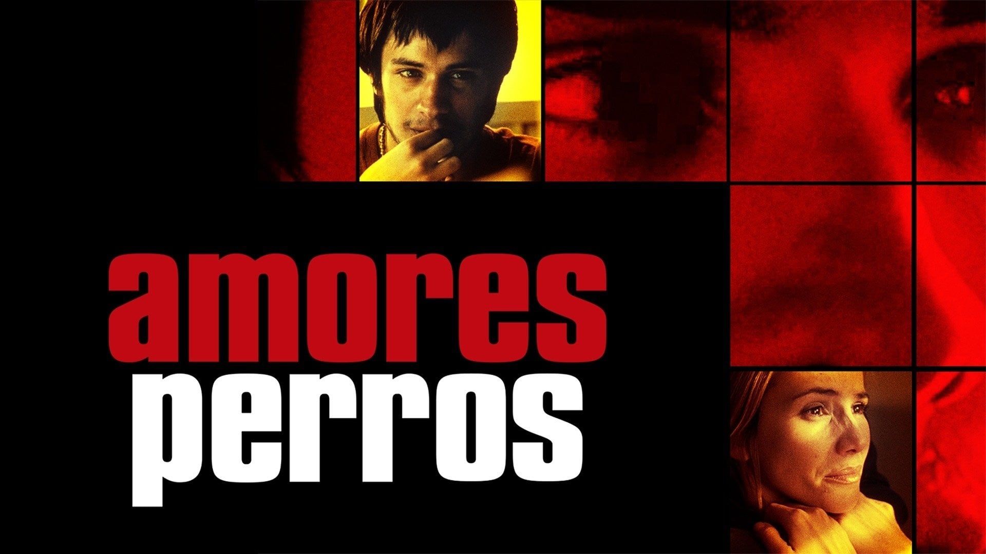 دانلود فیلم Amores Perros 2000