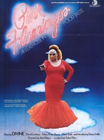 دانلود فیلم Pink Flamingos 1972329605-1638347676