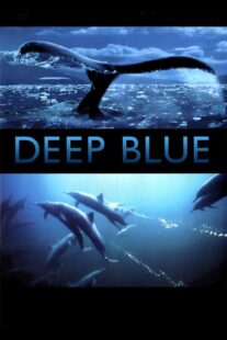 دانلود فیلم Deep Blue 2003333037-1132899616