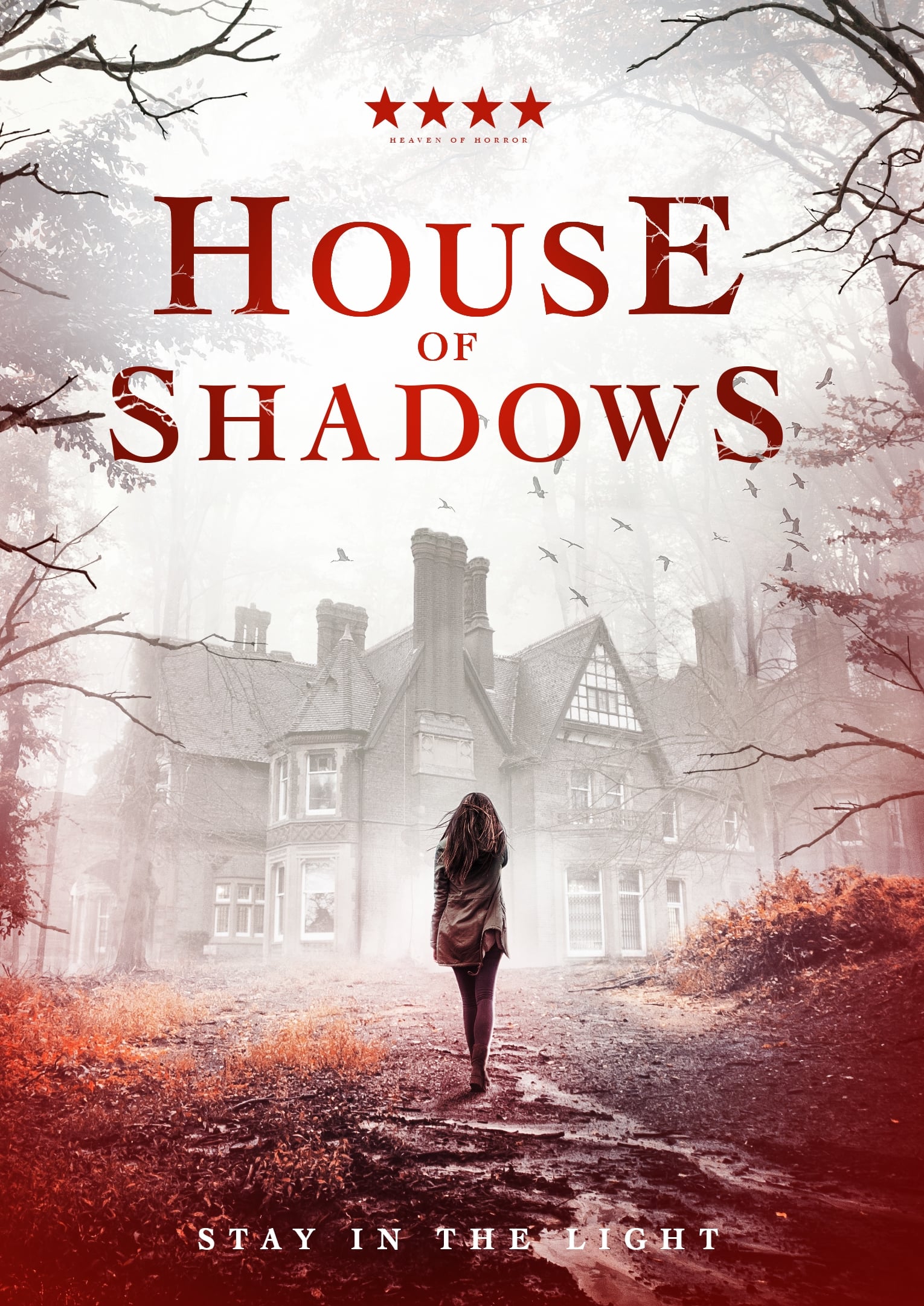 دانلود فیلم House of Shadows 2020