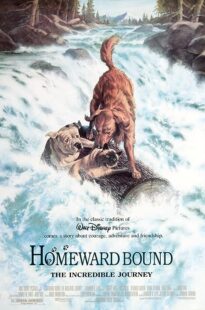 دانلود فیلم Homeward Bound: The Incredible Journey 1993371118-1710621102