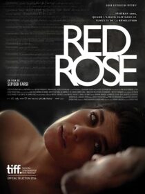 دانلود فیلم Red Rose 2014373098-407324136