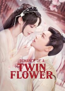 دانلود سریال Romance of a Twin Flower379211-162211871